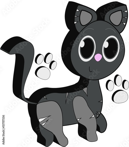 blackcat