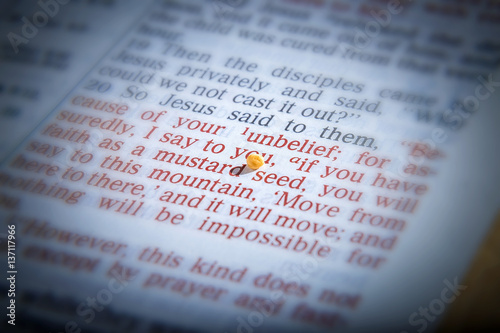Mustard seeds on a open Bible page illustrating the verse - if you have faith as small as a mustard seed- Matthew 17:20