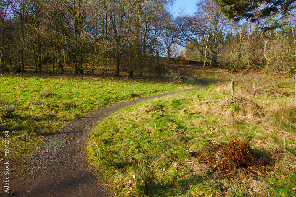 Fototapeta premium Country path