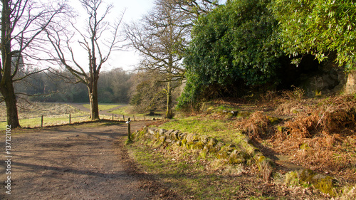 Path in Mugdock Country Park