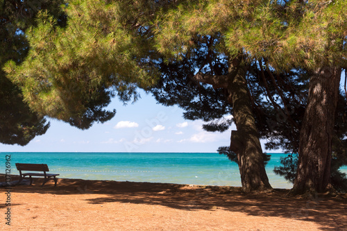 A pine tree on sand beach. Turquoise seashore and clouds. Croatian beach landscape. © Anna
