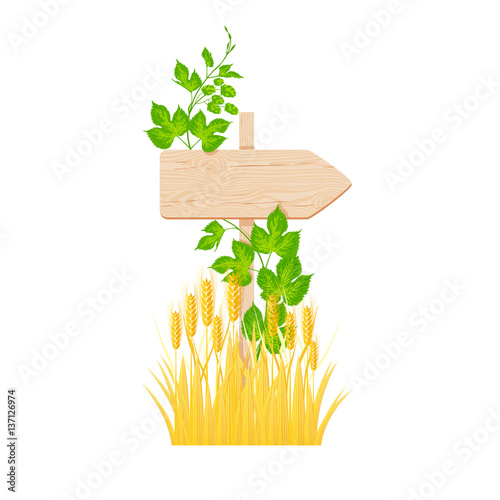 Wooden arrow signboard, hop branch and barley