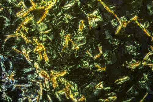 microscopic detail of Auramine O microcrystals photo