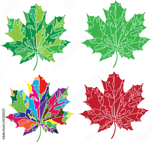 set of four maple leaves in posterized style in various colors