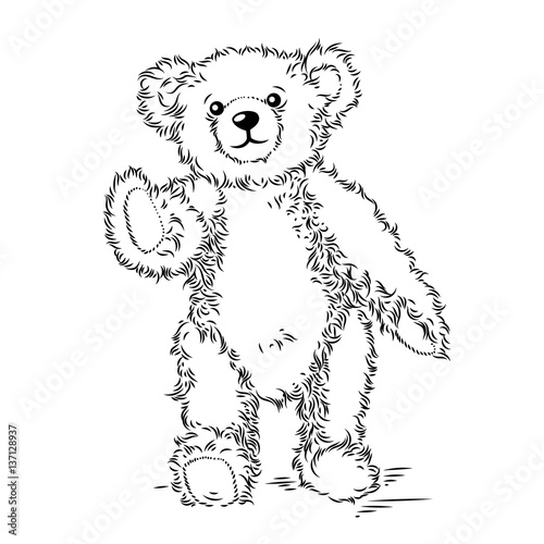 Fototapeta Naklejka Na Ścianę i Meble -  Drawing Teddy Bear. Vector illustration