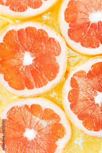 background of citrus fruits oranges and grapefruit slices. Studi