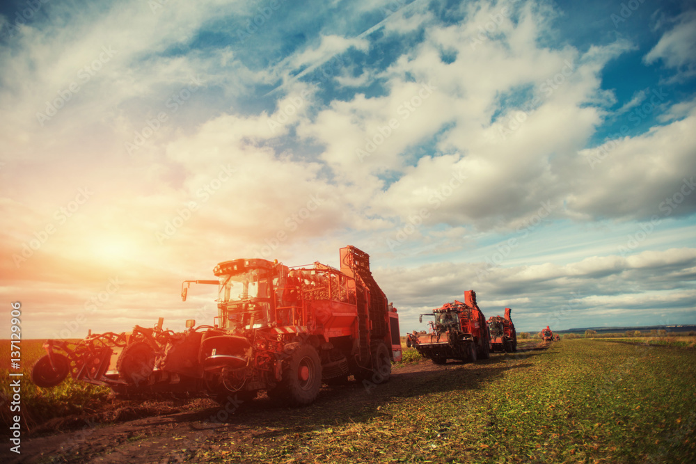 Obraz premium tractors working in the field. Carpathians. Ukraine Europe