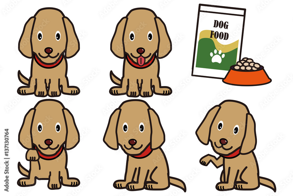 ラブラドールレトリバーのバリエーション Stock イラスト Adobe Stock