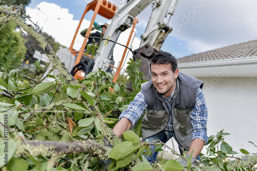 Obraz na płótnie Man working with hedge cuttings