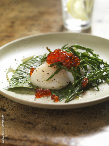 Dish of scallop and sea beans photo