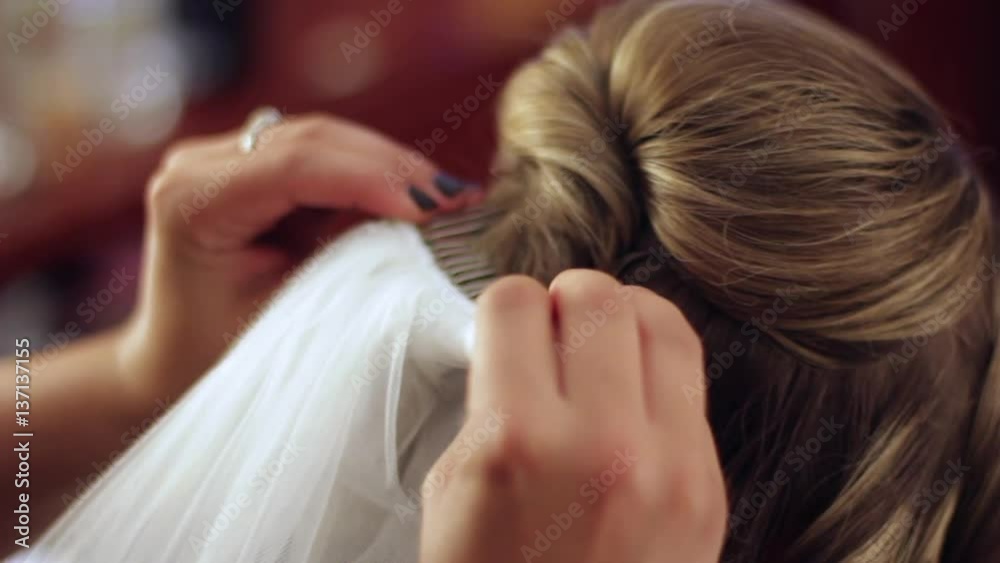 Stylist inserting a veil into the brides hair before the wedding Stylist inserting a veil into the brides hair before the wedding