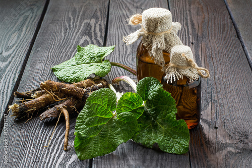 Roots and leaves of burdock (Arctium lappa), burdock oil in bottles
