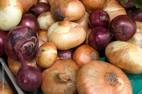 A bunch of onions on the table in the market, Novi Sad, Serbia