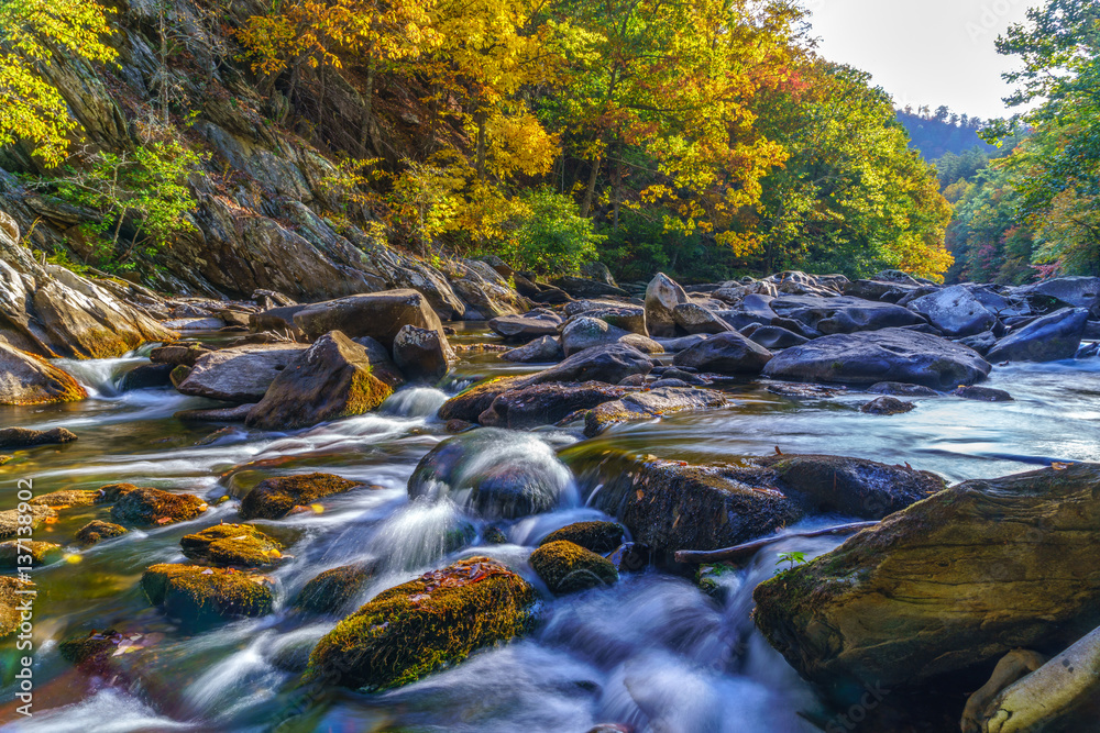 Fototapeta premium Tellico River