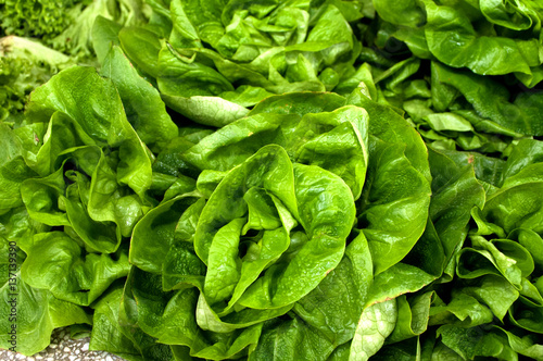 A bunch of green salad on the table in the market, Novi Sad, Serbia
