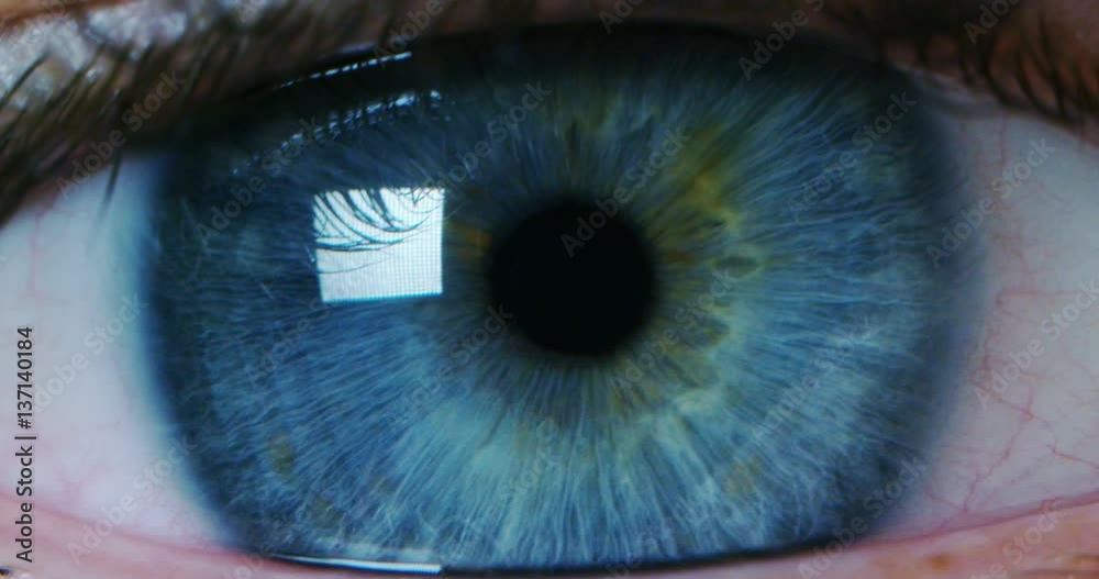 perfect blue eye macro in a sterile environment and perfect vision in resolution 6k,  concept, the vision of the future and healthy life concept. view precise and straight to the target.