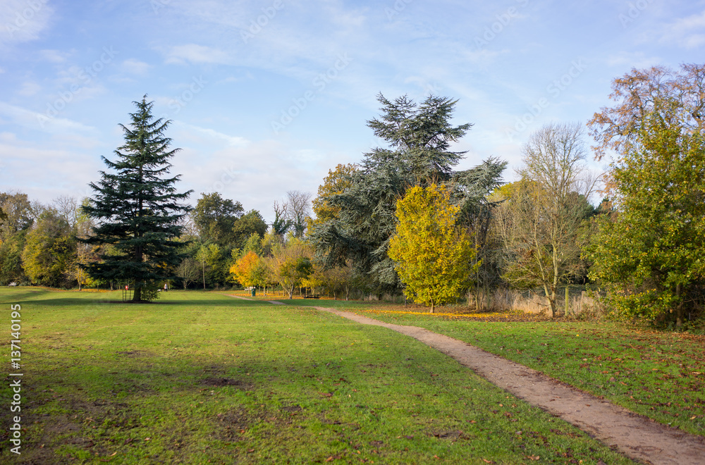 Local park land in England