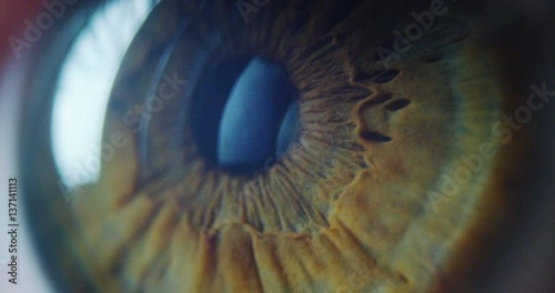 perfect green eye macro in a sterile environment and perfect vision in resolution 6k,  concept, the vision of the future and healthy life concept. view precise and straight to the target. photo