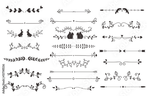 Vector dividers calligraphic line element.