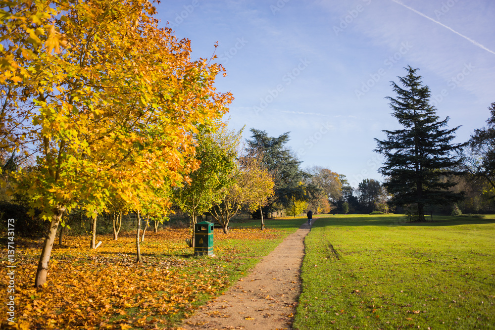 Naklejka premium Leicester-shire countryside