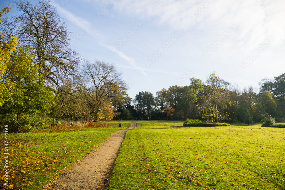 Obraz premium Local Park in Leicester