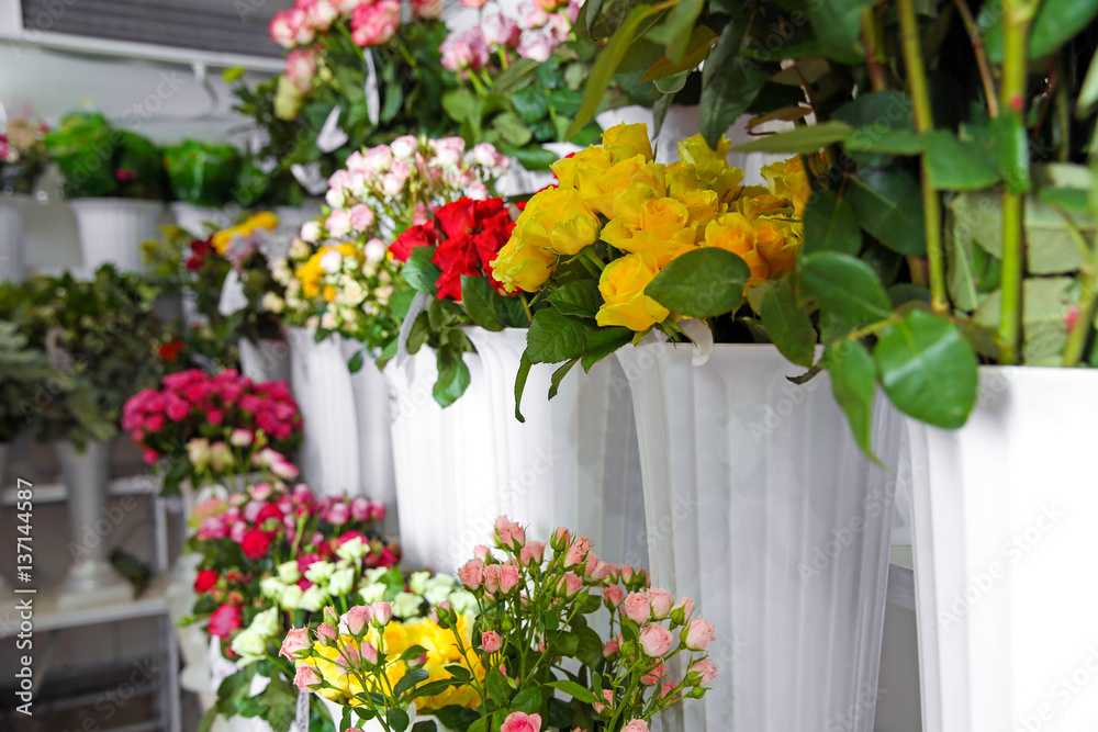 Fototapeta premium Plastic vases with beautiful roses in flower shop
