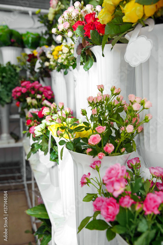 Fototapeta Naklejka Na Ścianę i Meble -  Plastic vases with beautiful roses in flower shop