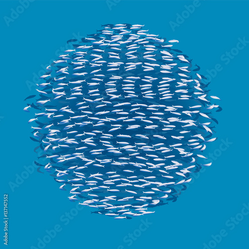 魚群