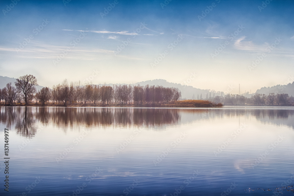 Fototapeta premium Naked Trees Overlooking the Lake