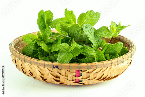 mint leaf, aromatic herbs, used as ingredients to make ice cream and herbal teas