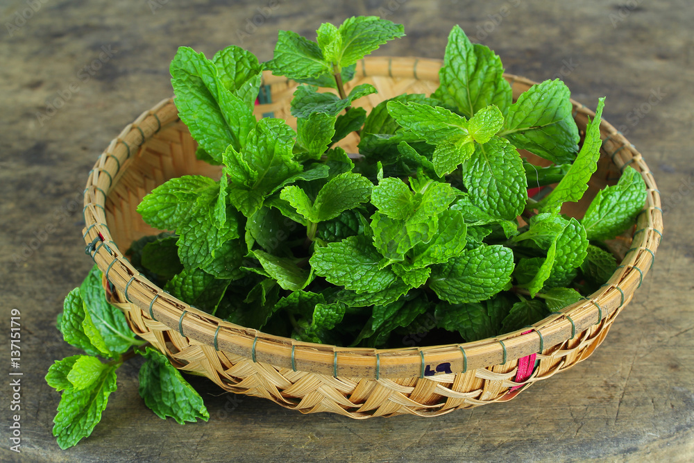 mint leaf, aromatic herbs, used as ingredients to make ice cream and herbal teas mint leaf, aromatic herbs, used as ingredients to make ice cream and herbal teas