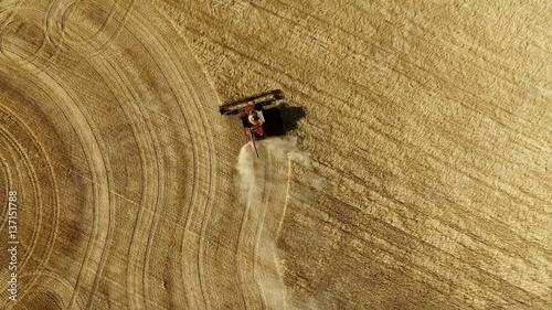 Wheat Harvest