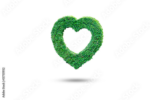 Heart shaped ivy on isolate white background