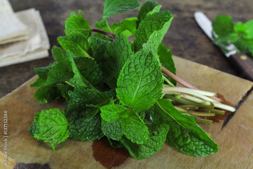 mint leaf, aromatic herbs, used as ingredients to make ice cream and herbal teas mint leaf, aromatic herbs, used as ingredients to make ice cream and herbal teas