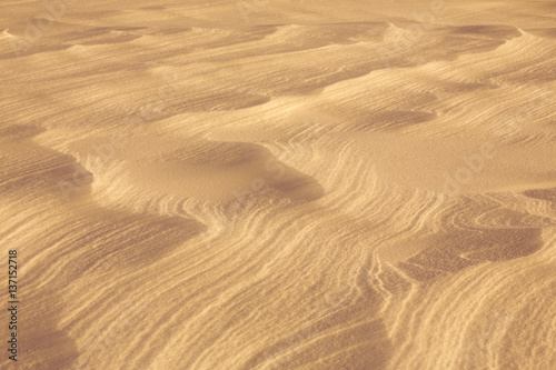 desert sand surface © Andrey Kuzmin