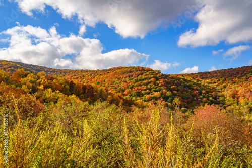 Fall on the Cherohala Skyway