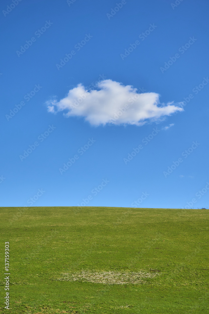Solitary white cloud in a blue sky over a green field Solitary white cloud in a blue sky over a green field