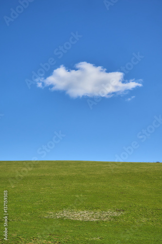 Solitary white cloud in a blue sky over a green field