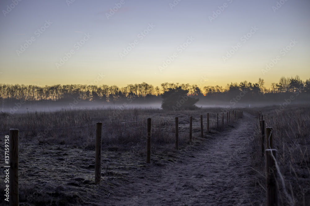 Weg in nebligem Feld an einem frühen Wintermorgen