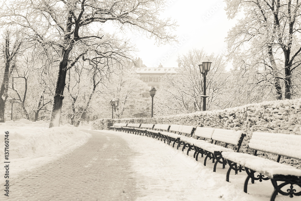 Street lantern with bench in snow beautiful cold winter day Street lantern with bench in snow beautiful cold winter day