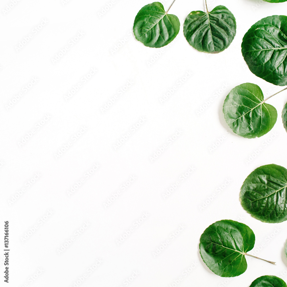 Floral pattern made of green leaves, branches on white background. Flat lay, top view. Leaf pattern texture. Floral pattern made of green leaves, branches on white background. Flat lay, top view. Leaf pattern texture.