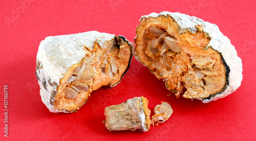image of a rotten pumpkin on red background