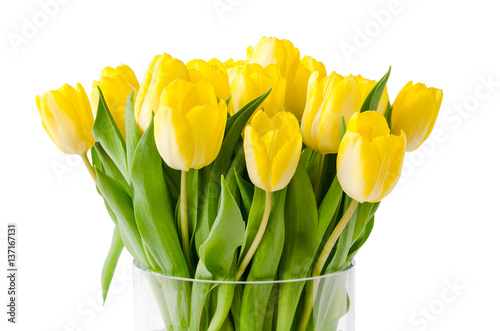 Fototapeta Naklejka Na Ścianę i Meble -  Gelbe Tulpen