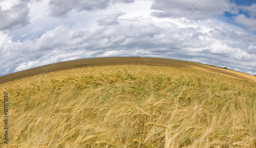 Bend Field