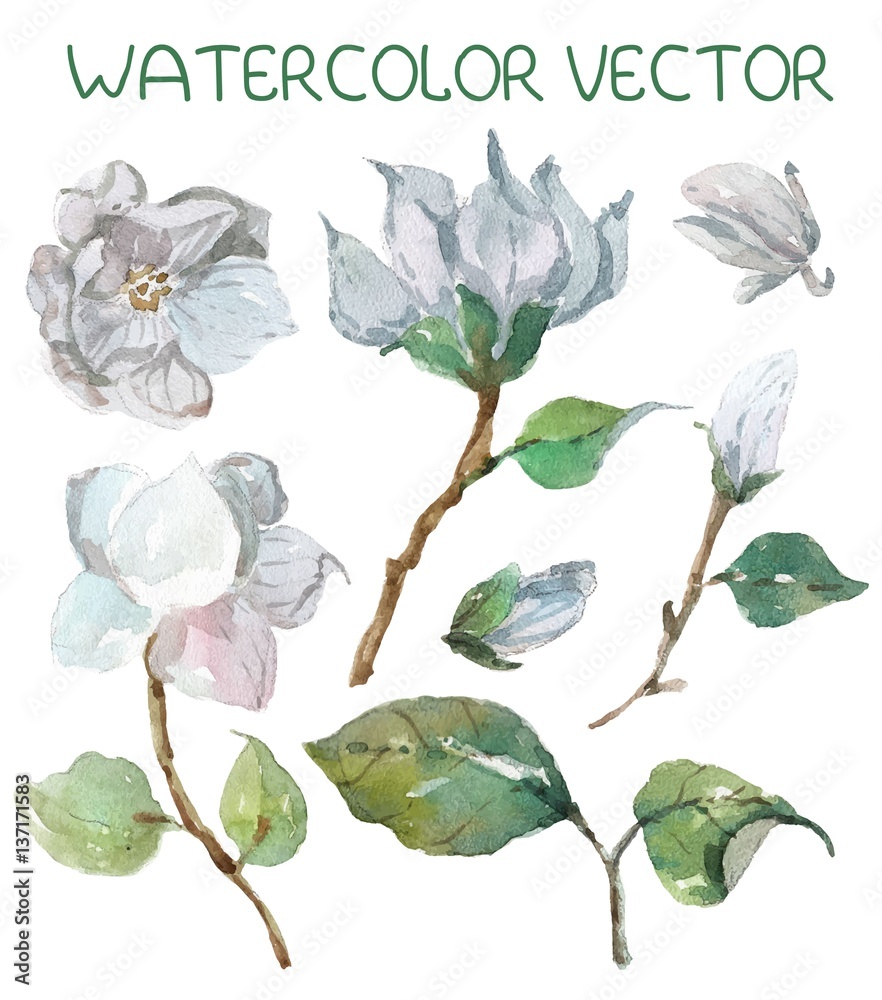 Naklejka premium Beautiful watercolor magnolia flowers