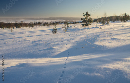 Winter landscape with traces