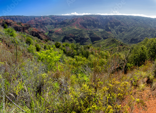 Blick über den Waimea Canyon auf Kauai, Hawaii, USA.