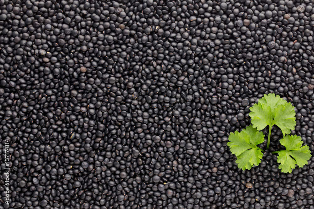 Food and cookery background of healthy dried black lentils. Food and cookery background of healthy dried black lentils.