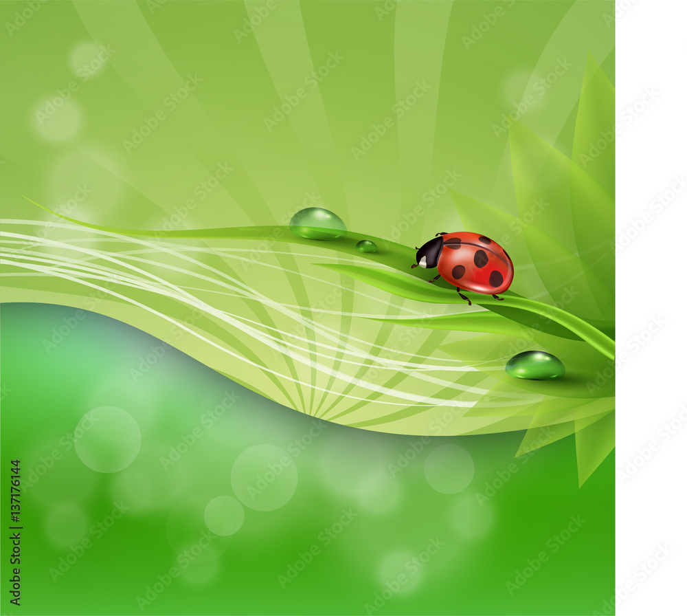 vector abstract background of green leaf and a drop of dew Stock ...