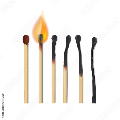 Burning and burnt realistic vector matches set on white background. © svetlana2727